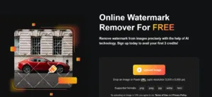 WatermarkRemover.io